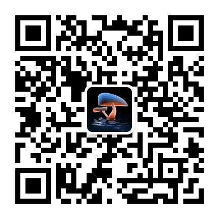 蘑菇游戏公众号二维码