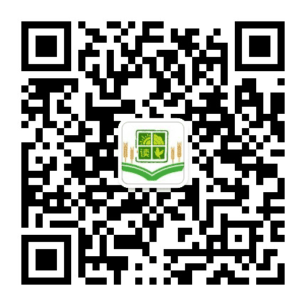 城阳区城阳街道田村小学公众号二维码