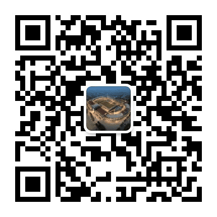 五大道公众号二维码