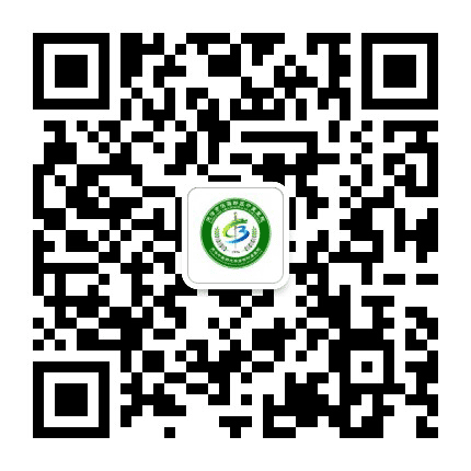 天津市滨海新区中医医院公众号二维码