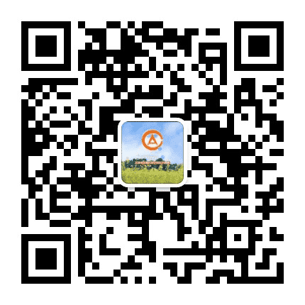 东丽审计公众号二维码