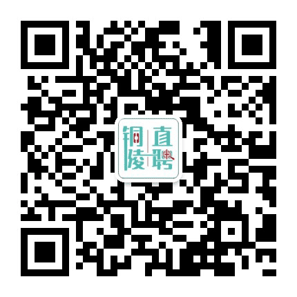 铜陵派公众号二维码