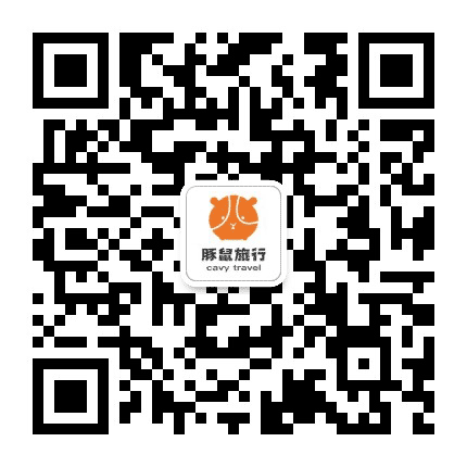 BJ豚鼠旅行公众号二维码