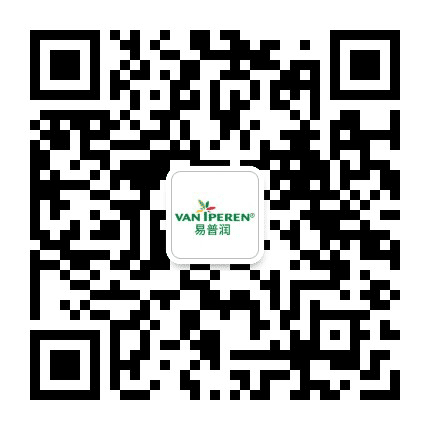 荷兰易普润公众号二维码