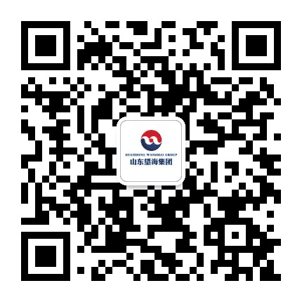 望海集团公众号二维码