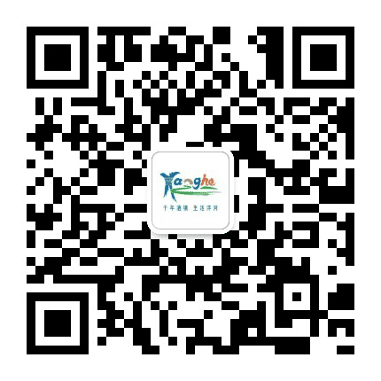 玩转洋河公众号二维码