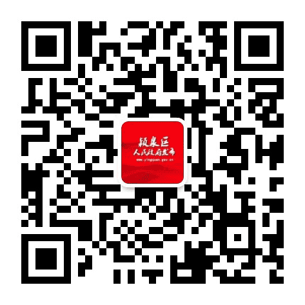 阜阳市颍泉区人民政府发布公众号二维码