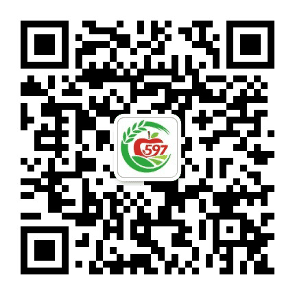 微看五九七公众号二维码