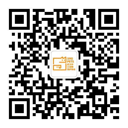 武汉市小动物保护协会公众号二维码