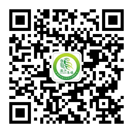 温江医保公众号二维码