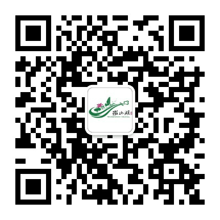 山东微山湖旅游发展集团公众号二维码