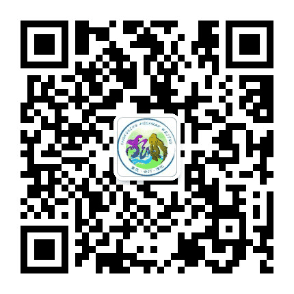 合川区渭沱镇公众号二维码