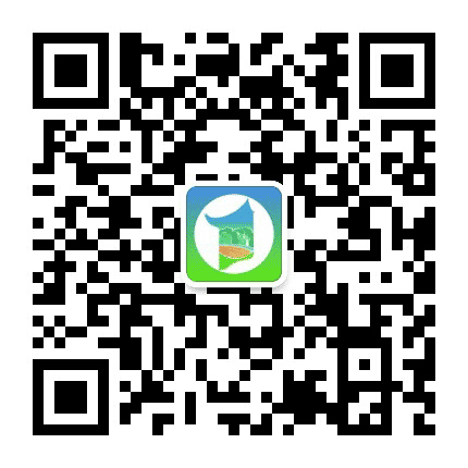大雅新桥公众号二维码