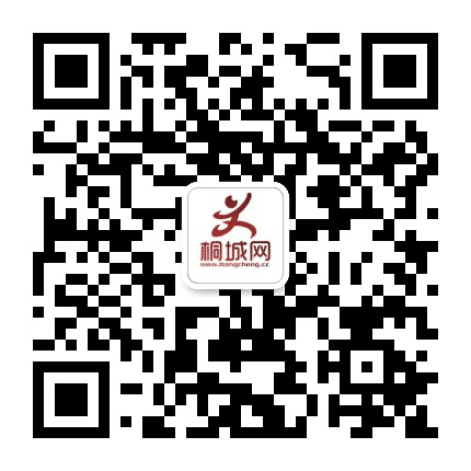 桐城网公众号二维码