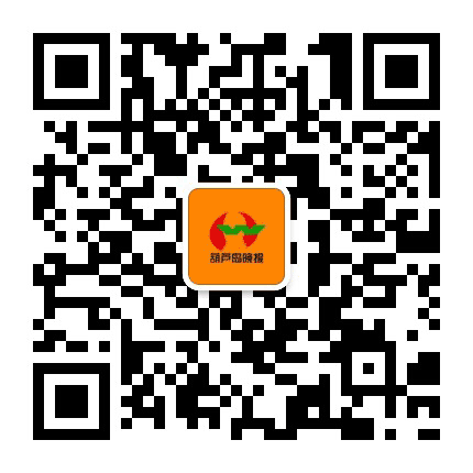 葫芦岛晚报作文课堂公众号二维码