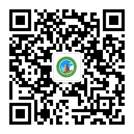 雁塔人社订阅号公众号二维码