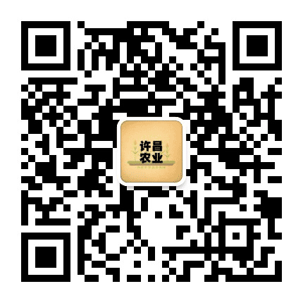 许昌农业公众号二维码