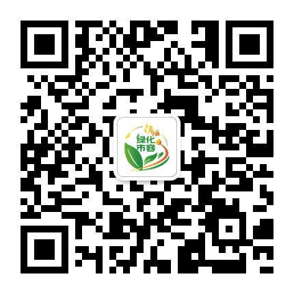 徐汇绿化市容公众号二维码
