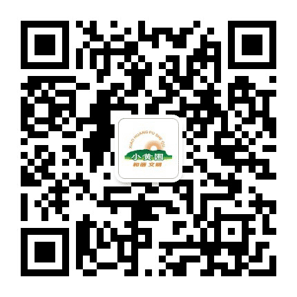 容桂街道小黄圃社区公众号二维码