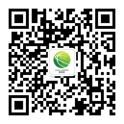 新曹路公众号二维码