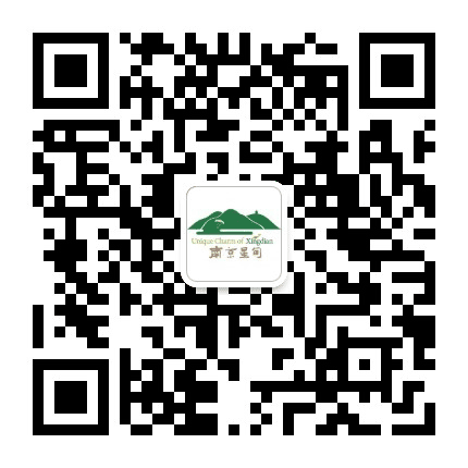 星甸微云公众号二维码