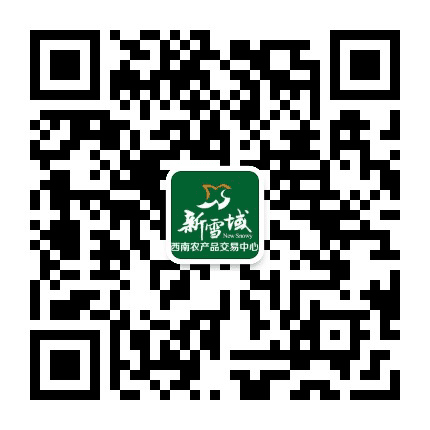 遵义新雪域公众号二维码