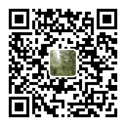 西歧老树茶公众号二维码