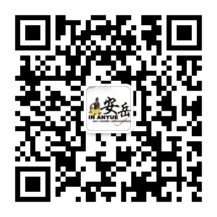 天天安岳公众号二维码