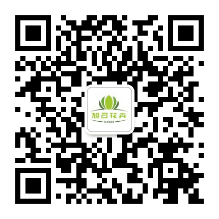 旭日花卉公众号二维码
