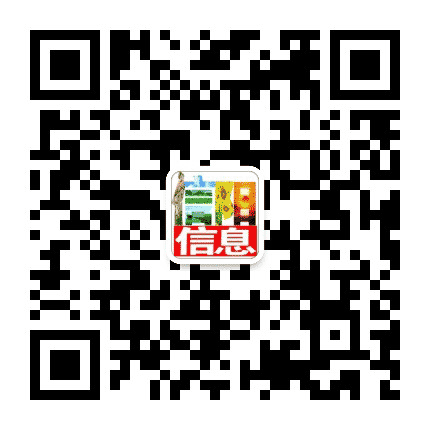 信阳信息公众号二维码