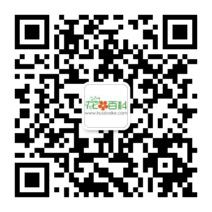 养花大全公众号二维码