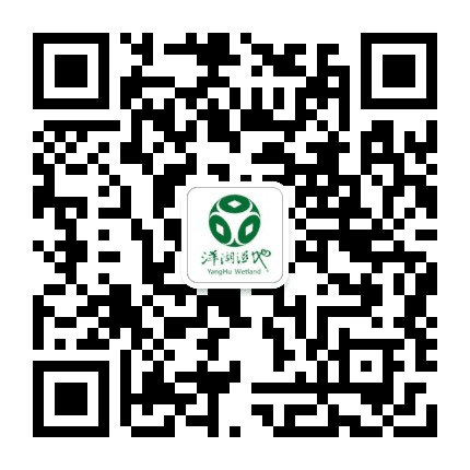 洋湖国家湿地公园公众号二维码