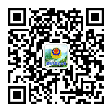 平安盐边公众号二维码