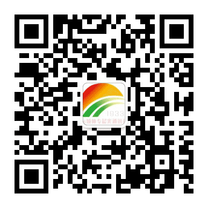 晨光通讯社公众号二维码
