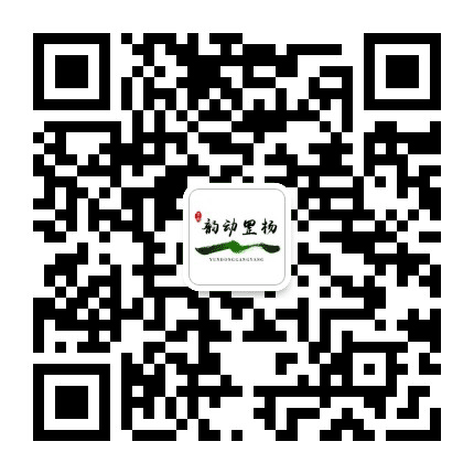 韵动罡杨公众号二维码