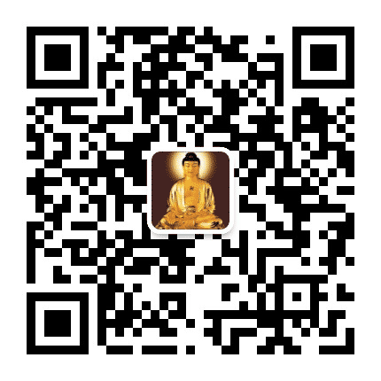智慧佛经公众号二维码