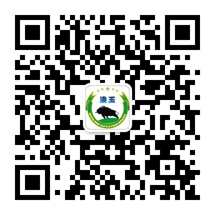 饮马黑安格斯纯繁基地公众号二维码