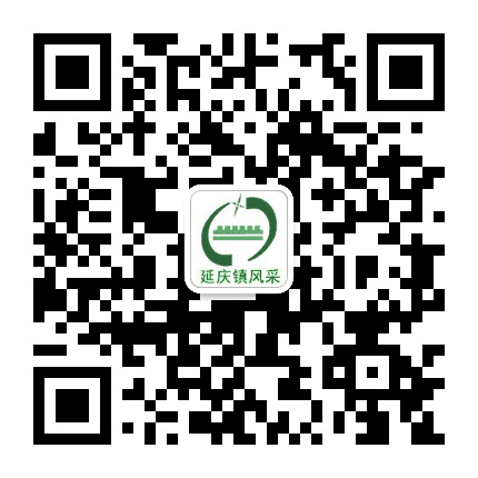 延庆镇公众号二维码