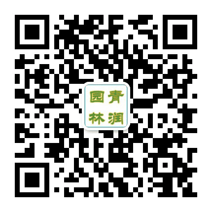 吉林青润园林公众号二维码