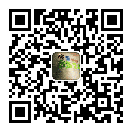 乐里艺术公众号二维码