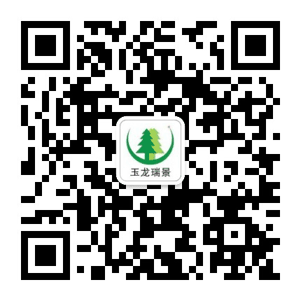 玉龙瑞景林业有限公司公众号二维码
