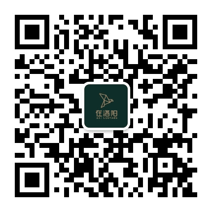 在洛阳公众号二维码