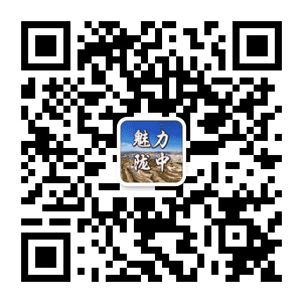 在定西公众号二维码