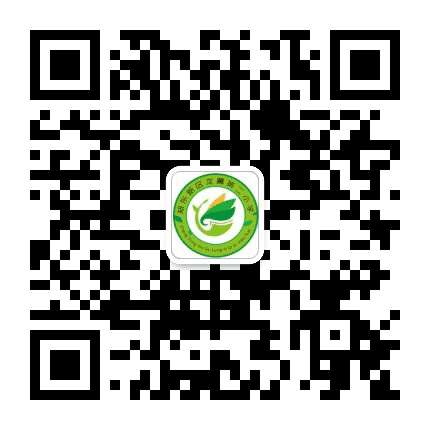 郑东新区龙翼第二小学公众号二维码