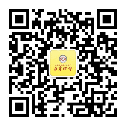 自贡灯会公众号二维码