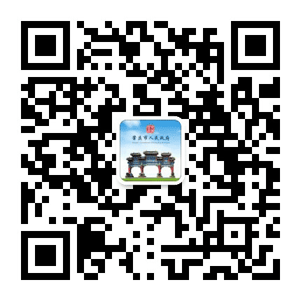 肇庆政府网公众号二维码
