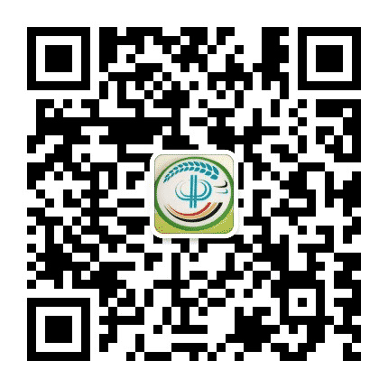 东丽中河小学公众号公众号二维码