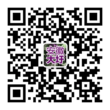 安徽大圩公众号二维码
