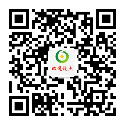 昭通视点公众号二维码