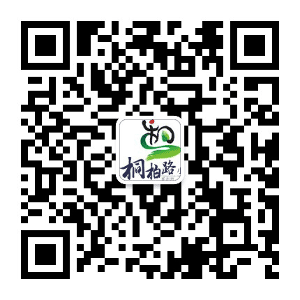 郑州市中原区桐柏路小学公众号二维码